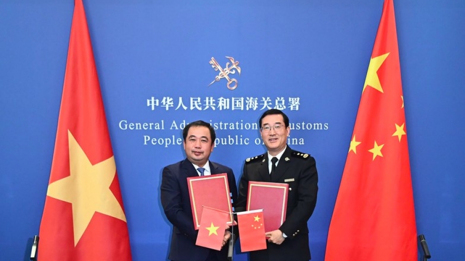 China officially agrees to import Vietnam’s fresh jackfruit